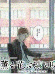 纪录栏目长尾条目配图